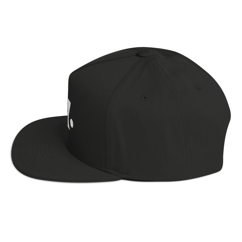 Flat Bill Five Panel Hat